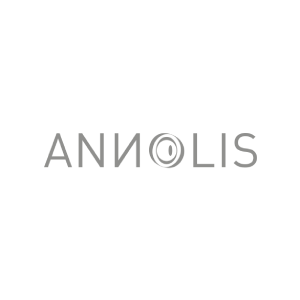 Logo Annolis - Digital Brand content par Les Frères Salamon