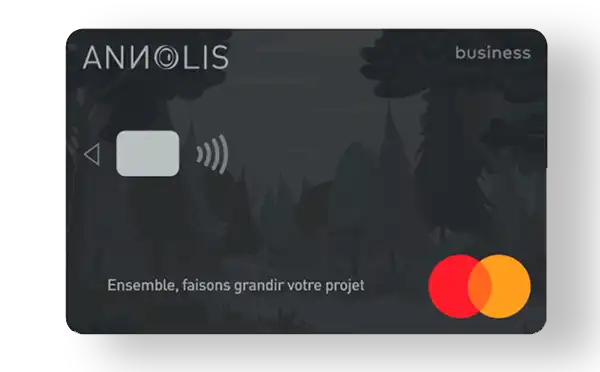 Carte de paiement Annolis réalisée par Agence Web Lille Les Frères Salamon