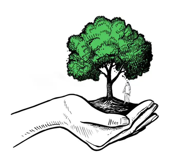 Illustrations Annolis - Agence web Lille Les Frères Salamon