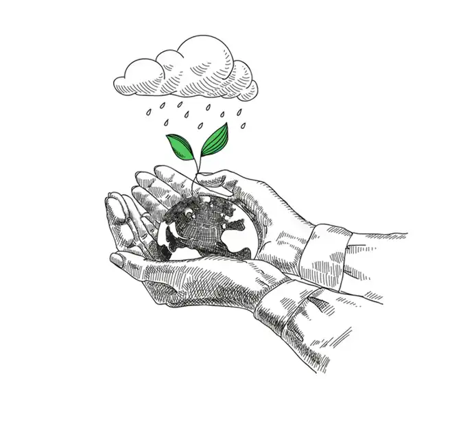 Illustrations Annolis - Agence web Lille Les Frères Salamon