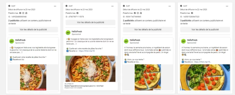 Growth Hacking Hello Fresh : facebook et instagram ads